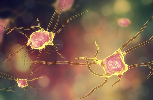 Treatment for Addiction and Dependence. Neurophysiological Causes of Dependence