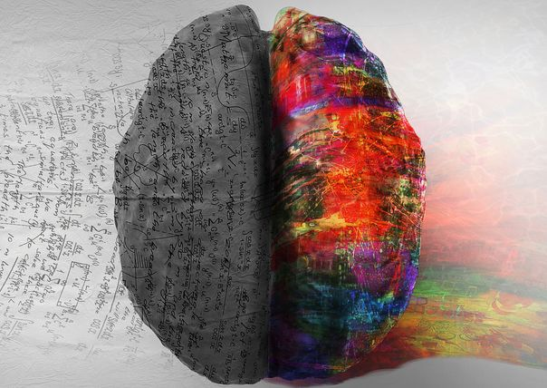 Brain Structure and Jungian Psychology